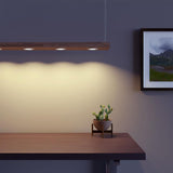 LightRay Linear Pendant Light Fixture  - Prism One