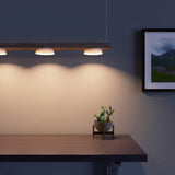 Radiance LPC-0140 Linear Pendant Light  - Prism One