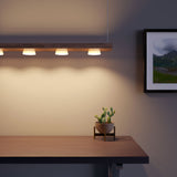 LightRay Linear Pendant Light Fixture  - Prism One
